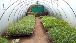 AF1QipOs5g96Exjv7V6NSFRNSHhtI2hmlSivJxSXPl2Ew800 h500 k no