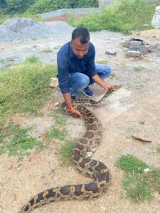 Snake-Rescue-Udaipur