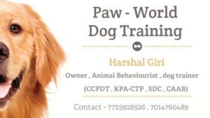 Paw-world Dog Trainer & Behaviourist , consultancy