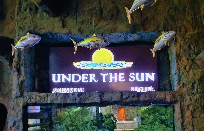 Under-The-Sun-Aquarium-India