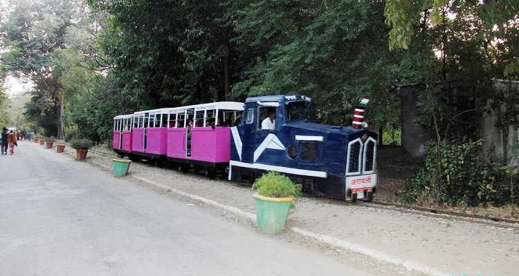 Toy train in gulab bagh