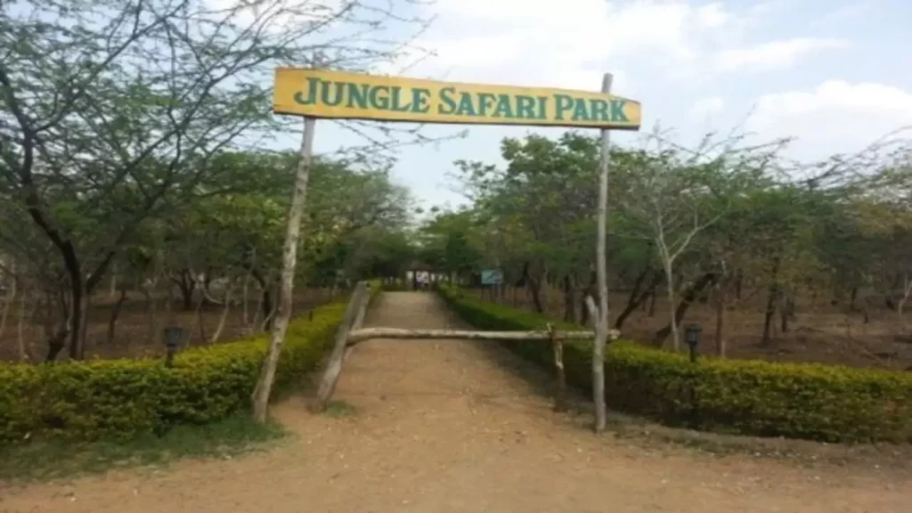 Jungle Safari Park Udaipur Picnic Spots in Udaipur