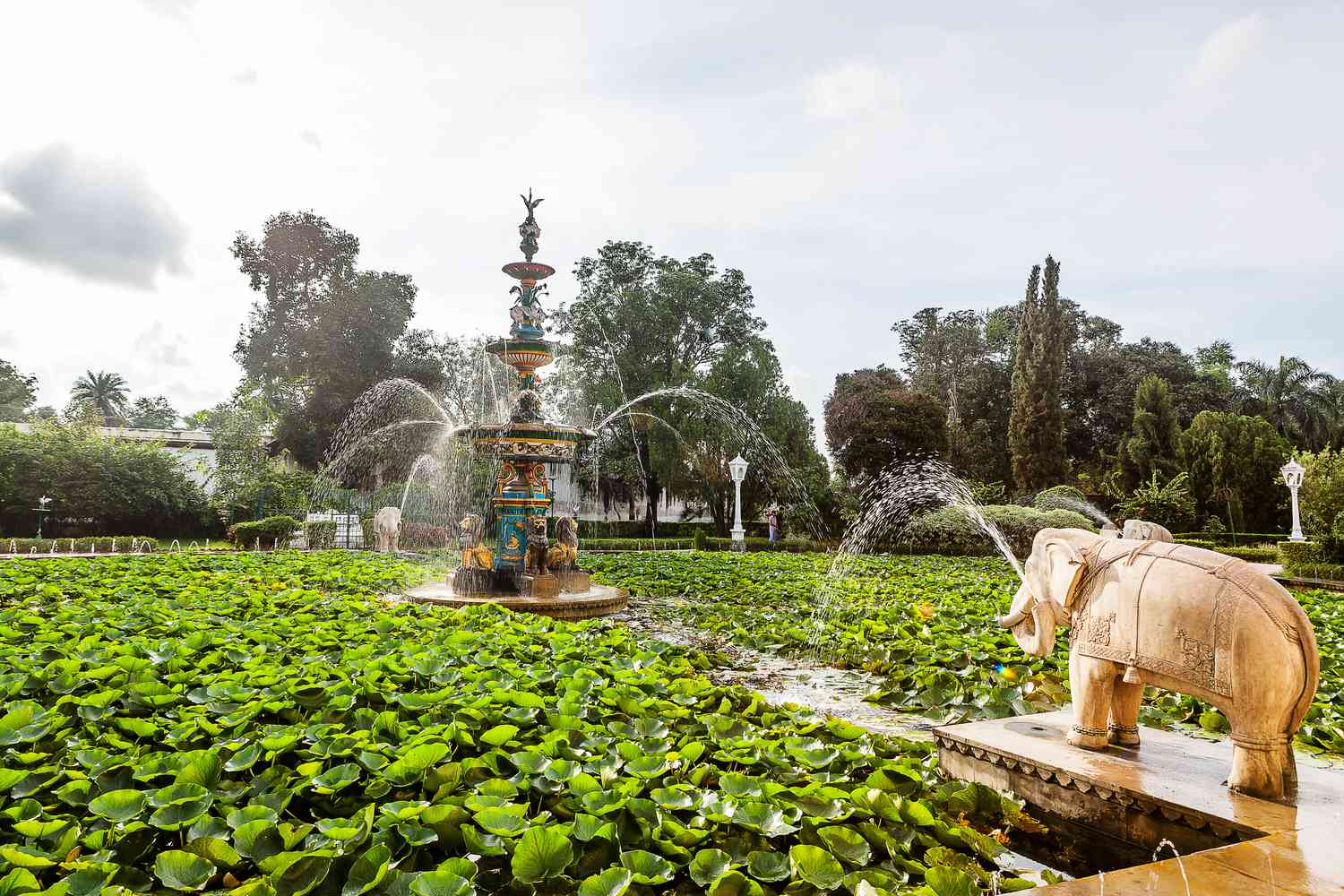 A Day Out in Udaipur: Explore the City’s Best Picnic Locations